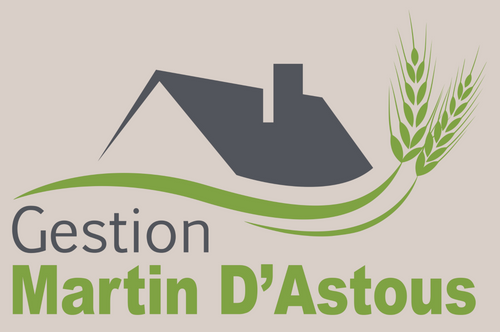 Gestion Martin D'Astous